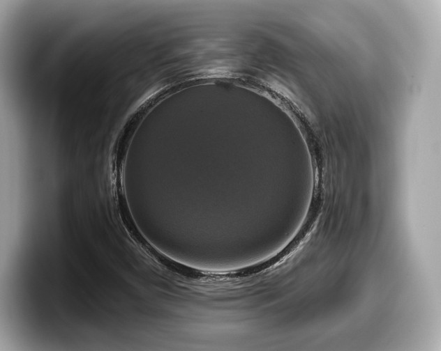 X0000099951450200805231312