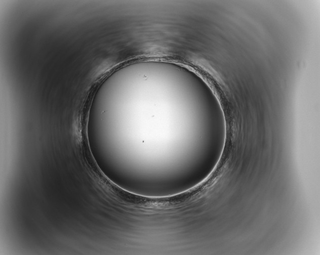 X0000099951451200805231312