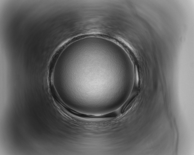 X0000099951452200805231312