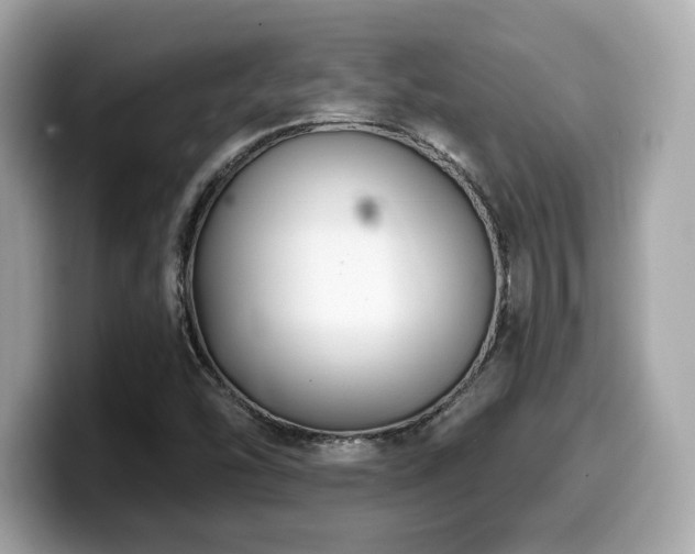 X0000099951454200805231312