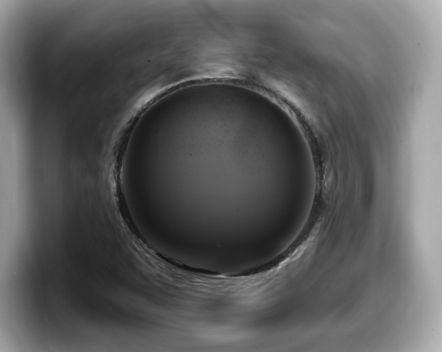 X0000099951455200805231312