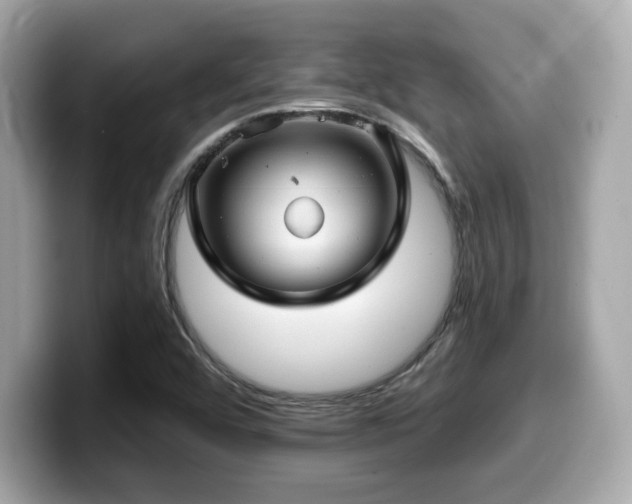 X0000099951456200805231312