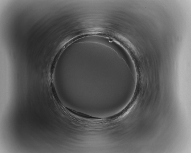 X0000099951457200805231312