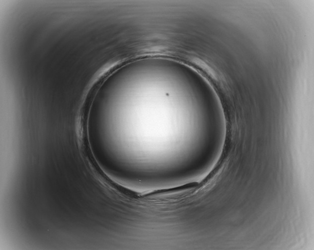X0000099951458200805231312