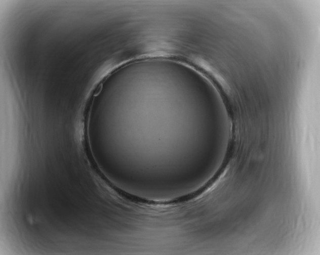 X0000099951459200805231312