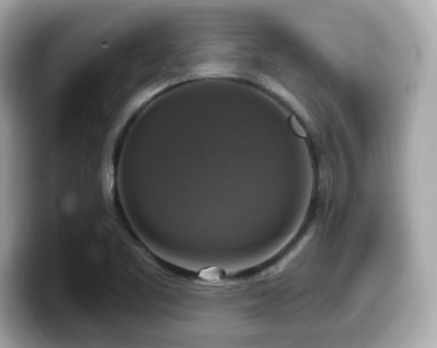 X0000099951461200805231312