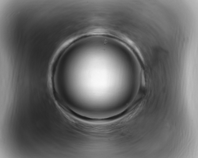 X0000099951464200805231312