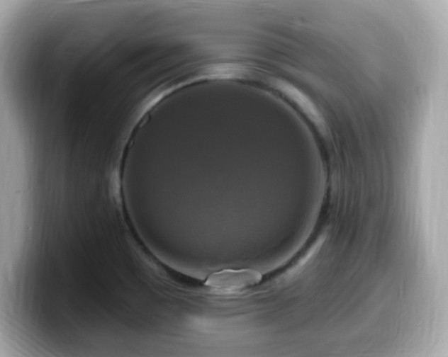 X0000099951465200805231312