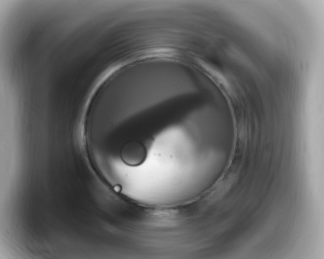 X0000099951466200805231312