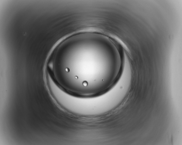 X0000099951468200805231311