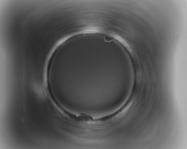 X0000099951469200805231311