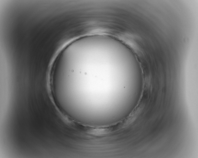 X0000099951470200805231311