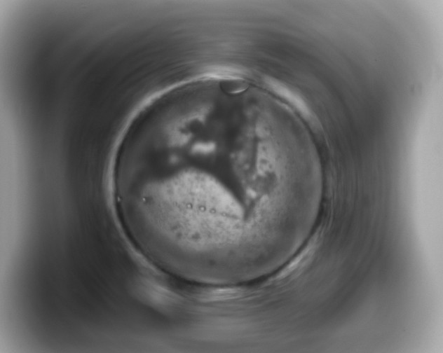 X0000099951471200805231311