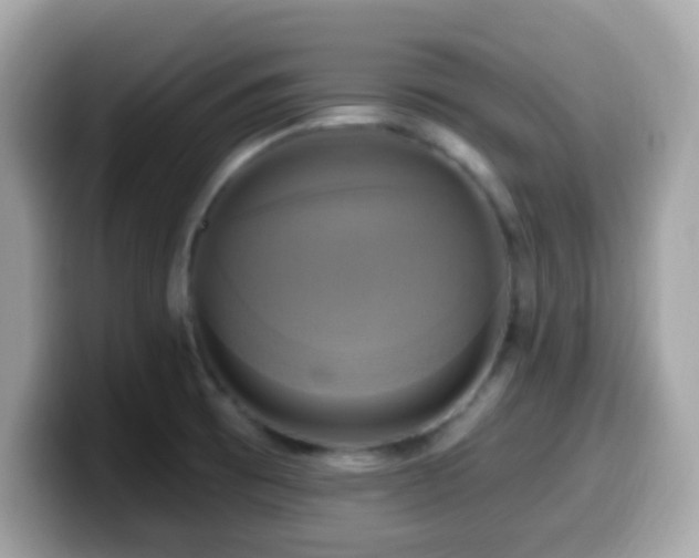 X0000099951473200805231311