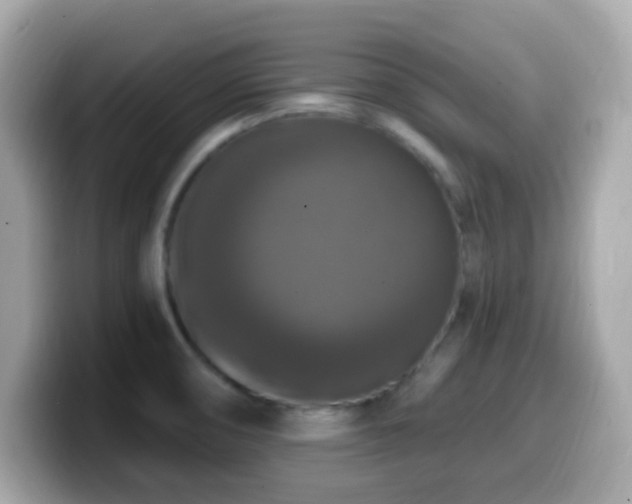 X0000099951474200805231311