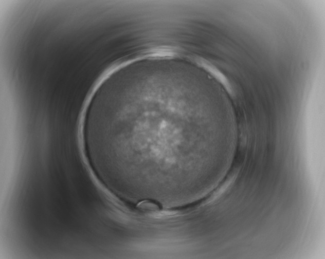 X0000099951475200805231311