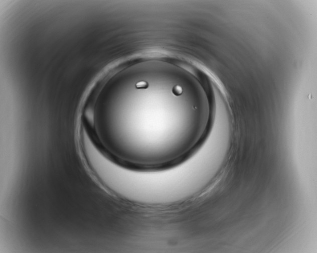 X0000099951477200805231311