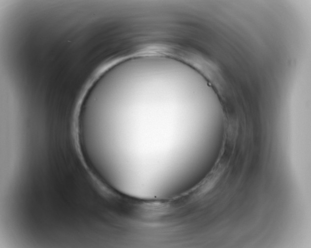 X0000099951478200805231311