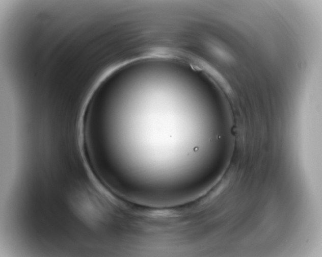 X0000099951479200805231311