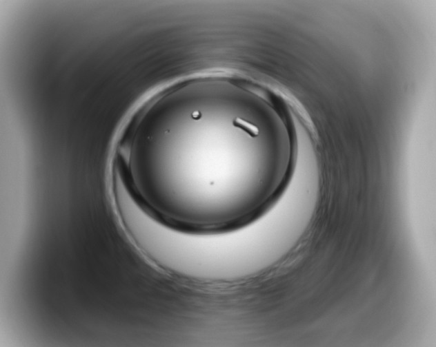X0000099951480200805231311