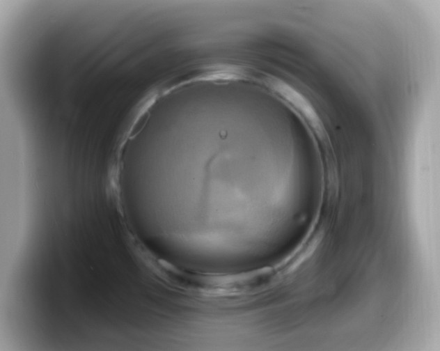 X0000099951481200805231311