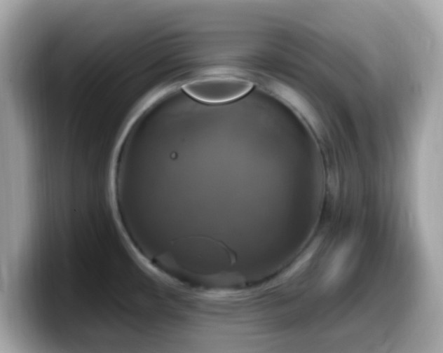 X0000099951482200805231311