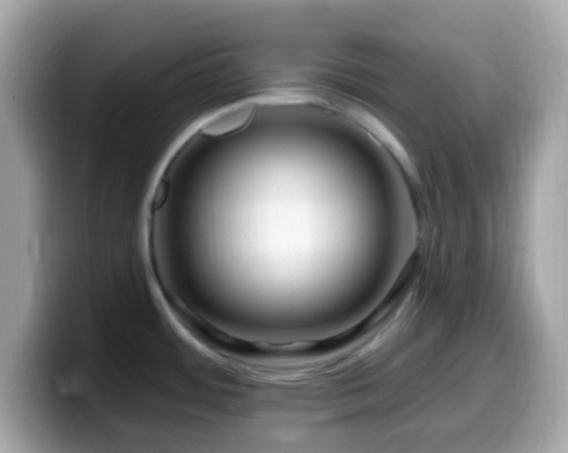 X0000099951484200805231311