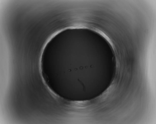 X0000099951485200805231311
