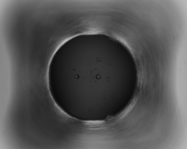 X0000099951487200805231311