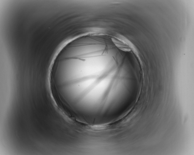 X0000099951488200805231311