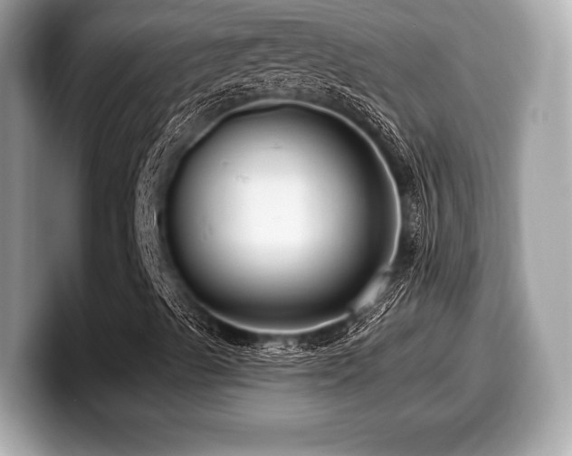 X0000099951489200805231311