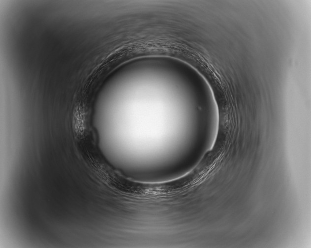 X0000099951490200805231311