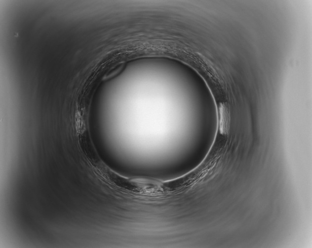 X0000099951491200805231311
