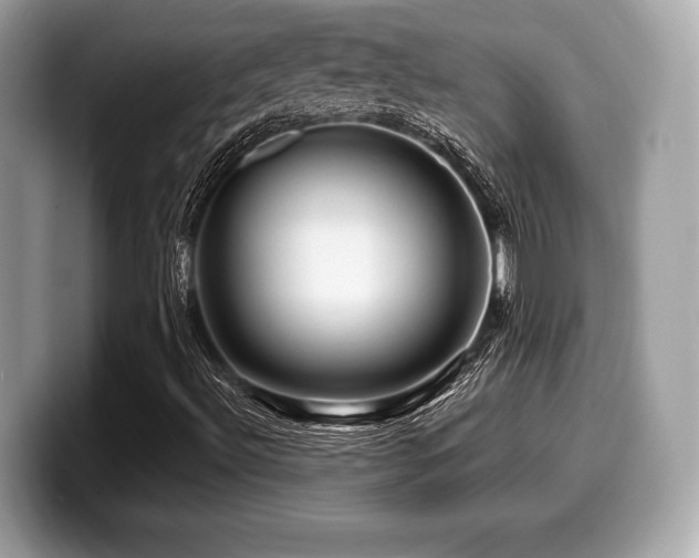 X0000099951492200805231311