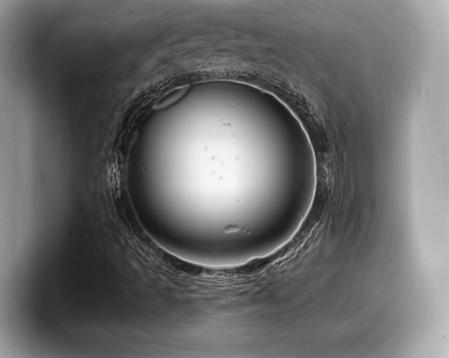 X0000099951493200805231311