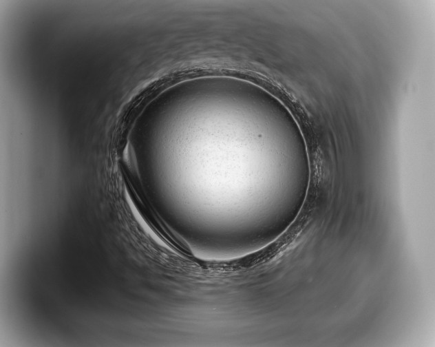 X0000099951494200805231311