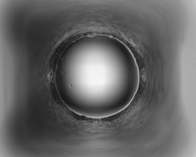 X0000099951495200805231311