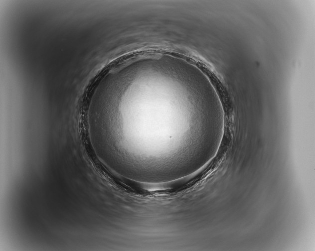 X0000099951496200805231311