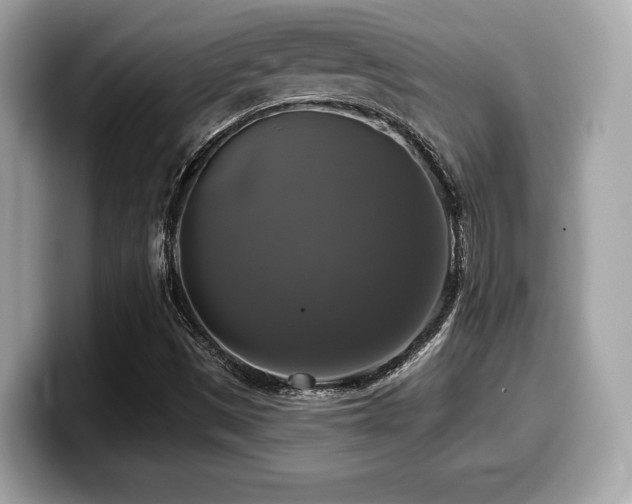 X0000099951497200805231311
