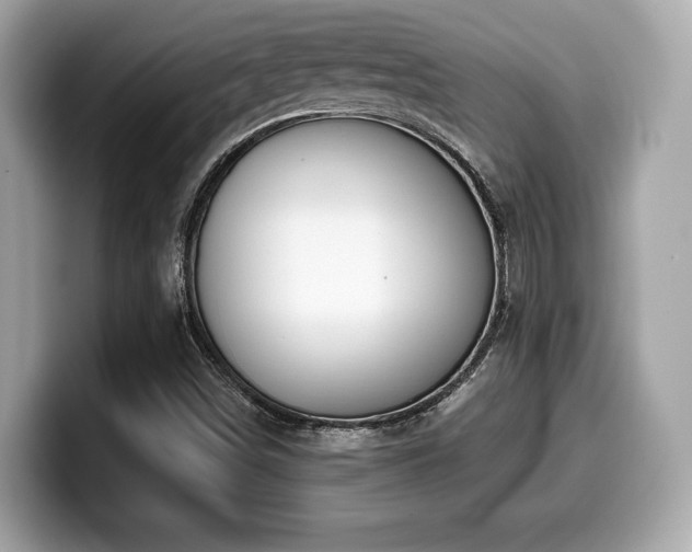 X0000099951498200805231311