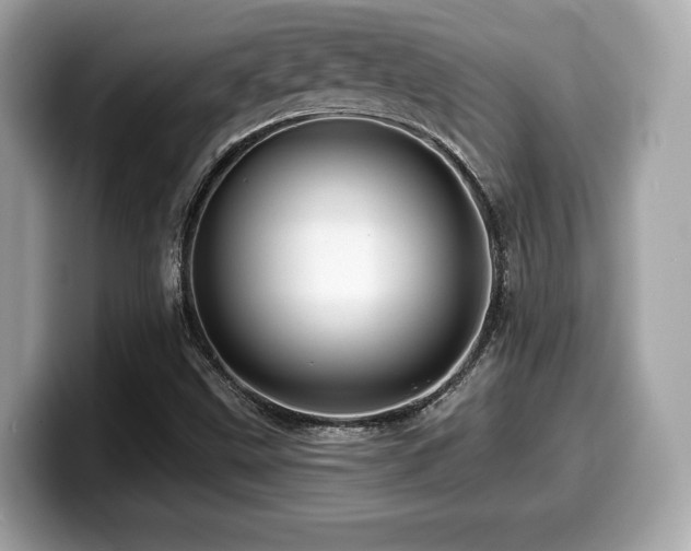 X0000099951499200805231311