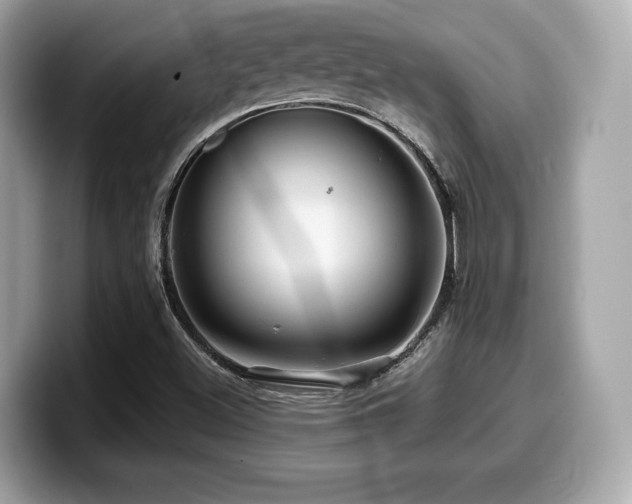 X0000099951500200805231311