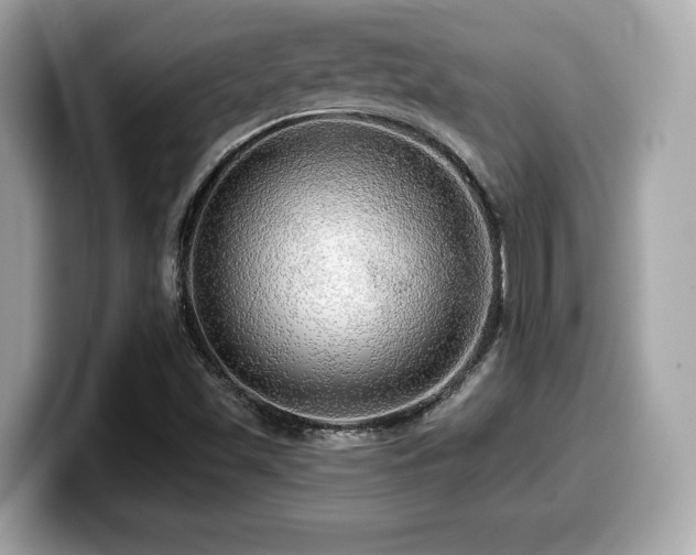 X0000099951501200805231311