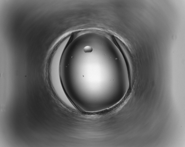 X0000099951502200805231311