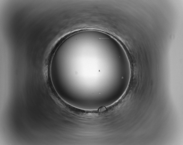 X0000099951503200805231311