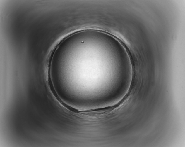 X0000099951504200805231311
