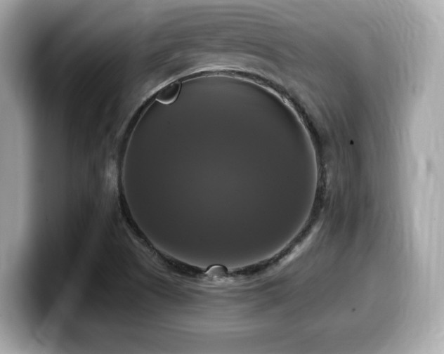 X0000099951505200805231311