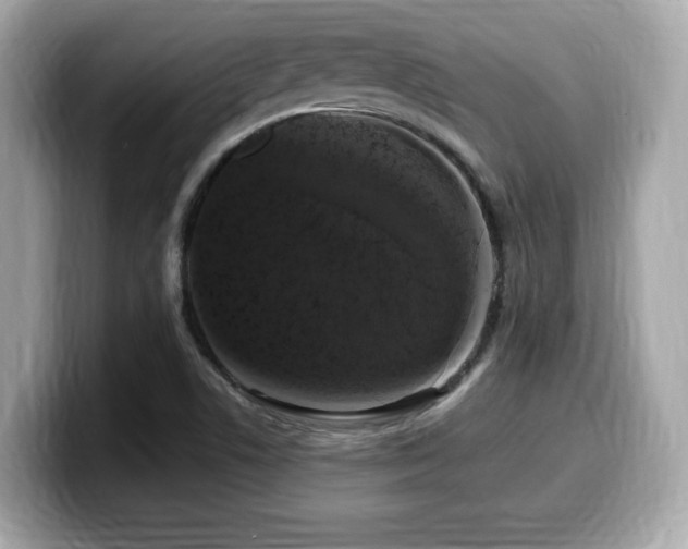 X0000099951506200805231311