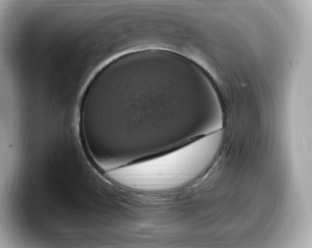 X0000099951508200805231311