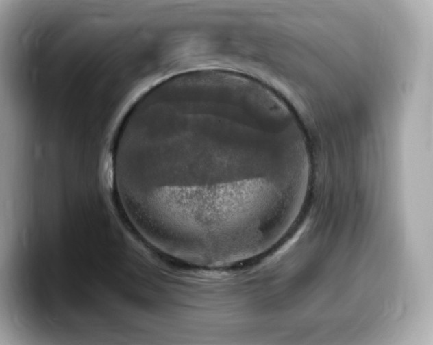 X0000099951509200805231311